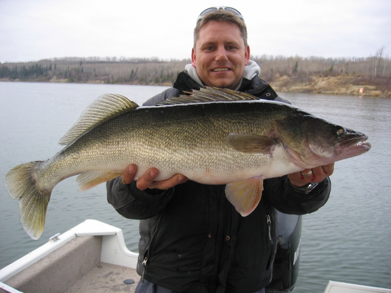 Alison's 11 lb Walleye